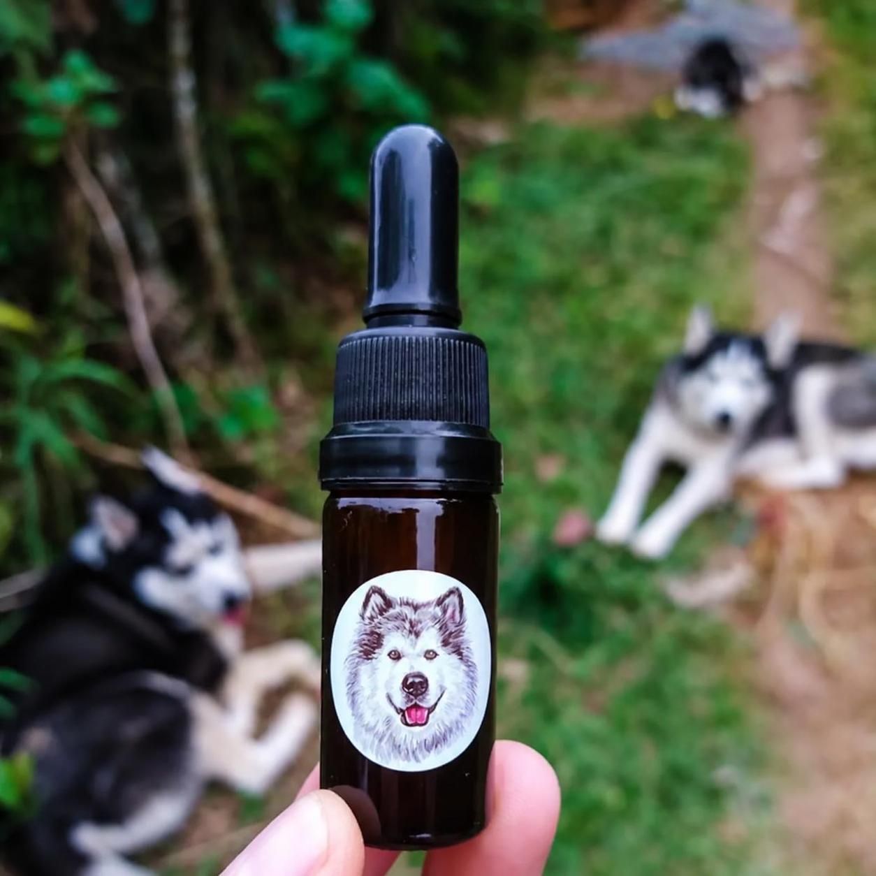 Aceite de CBD para mascotas 200mg 